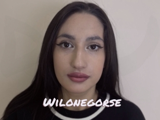 Wilonegorse