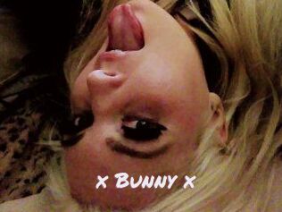 _x_Bunny_x_