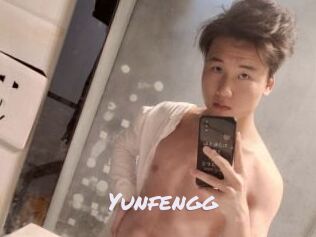 Yunfengg