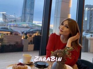 ZaraBin