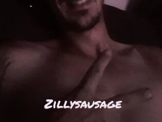 Zillysausage