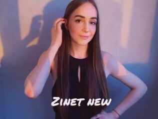Zinet_new