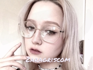 Zaragriscom