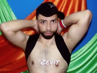 Zevit